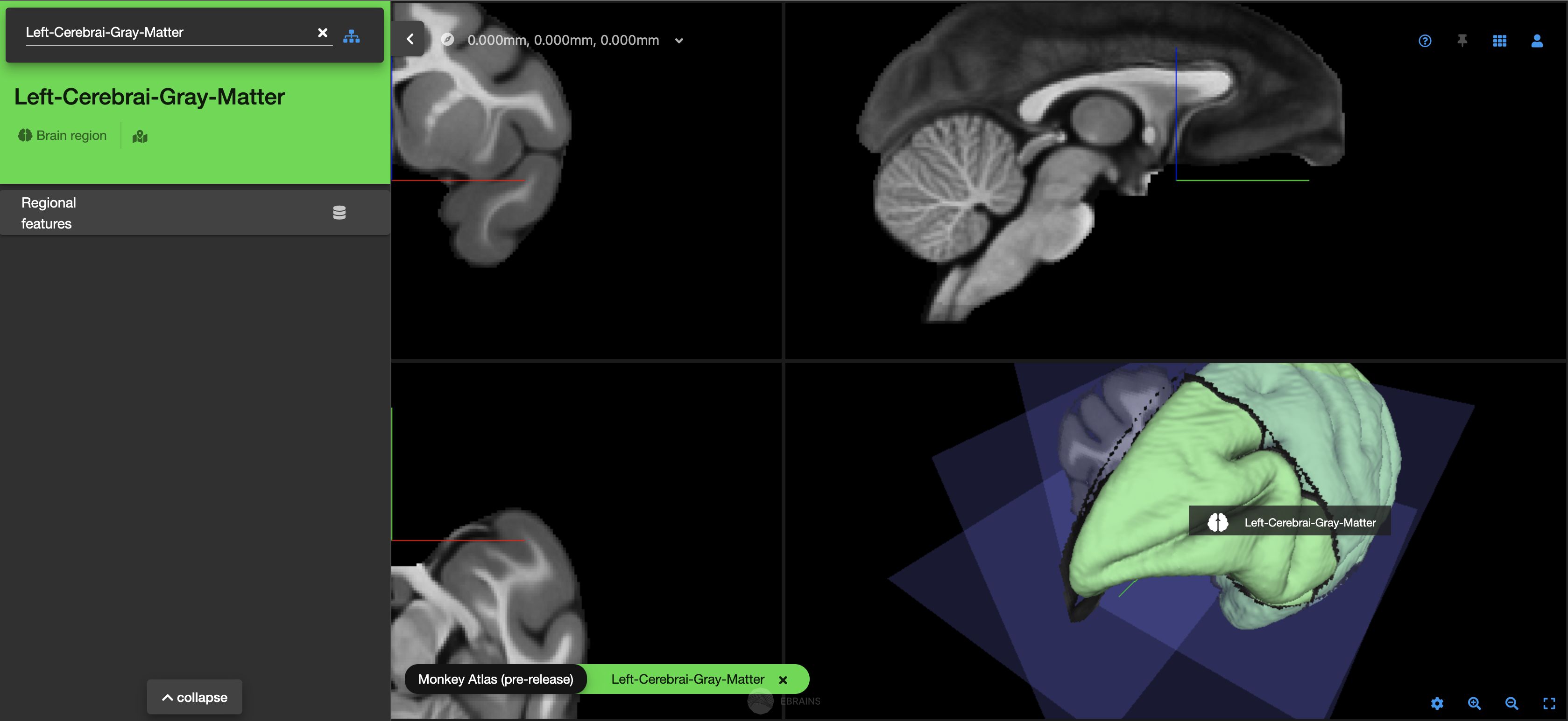 Screenshot Macaque Monkey Brain Atlas