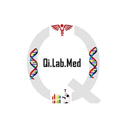 Qi.Lab.Med Srl. (University of Pavia) logo