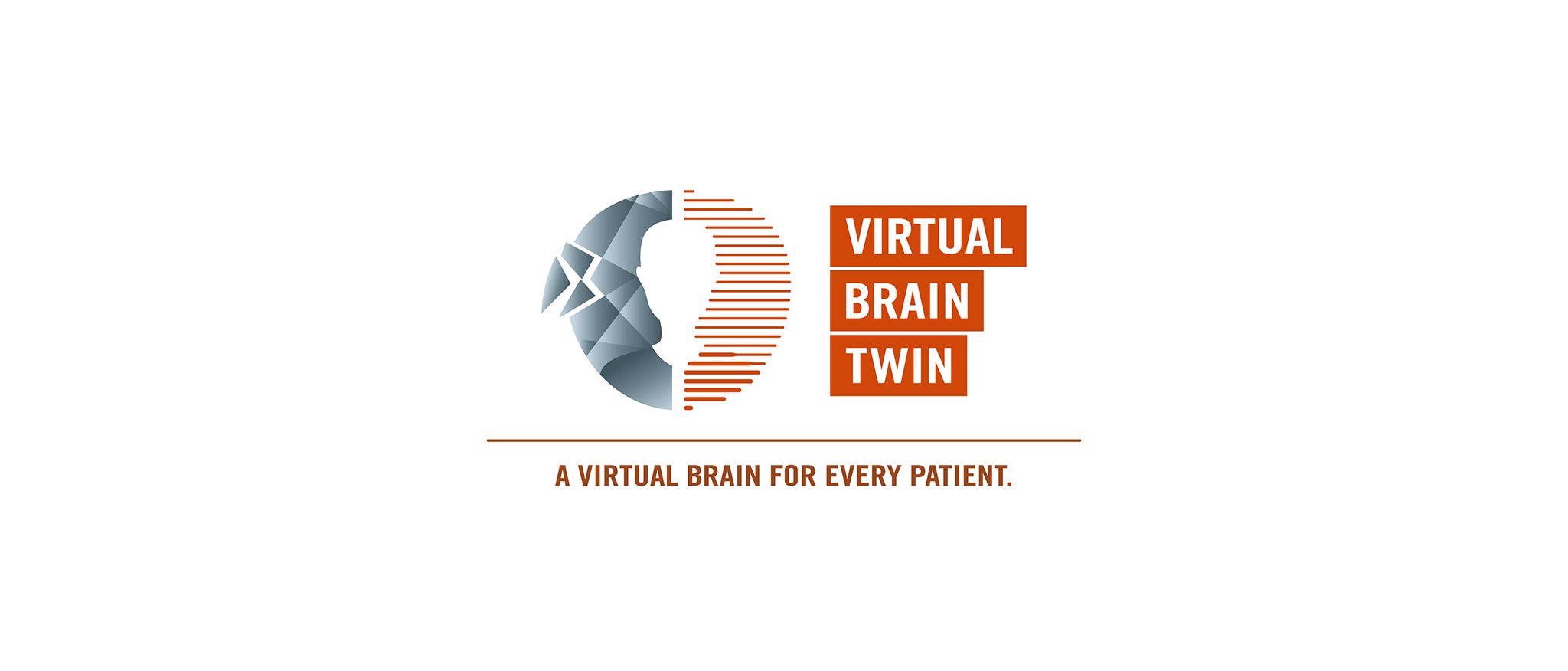 Virtual Brain Twin Logo