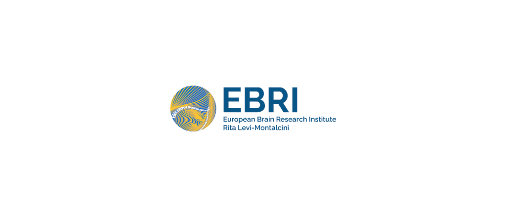 EBRAINS Welcomes European Brain Research Institute 'Rita Levi ...