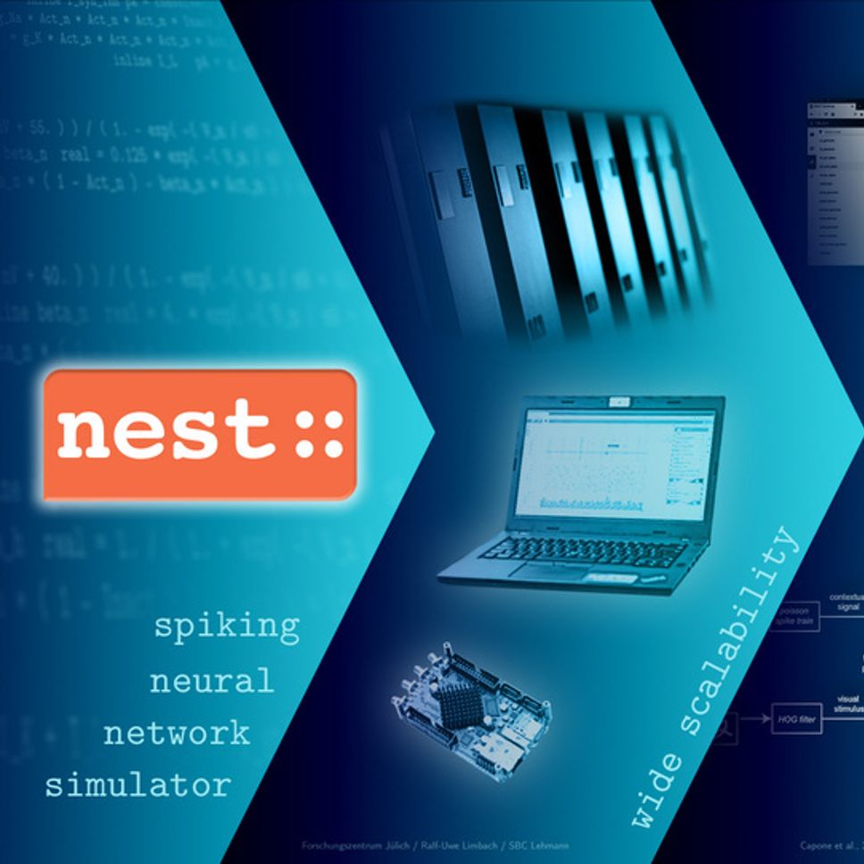 Nest Graphic