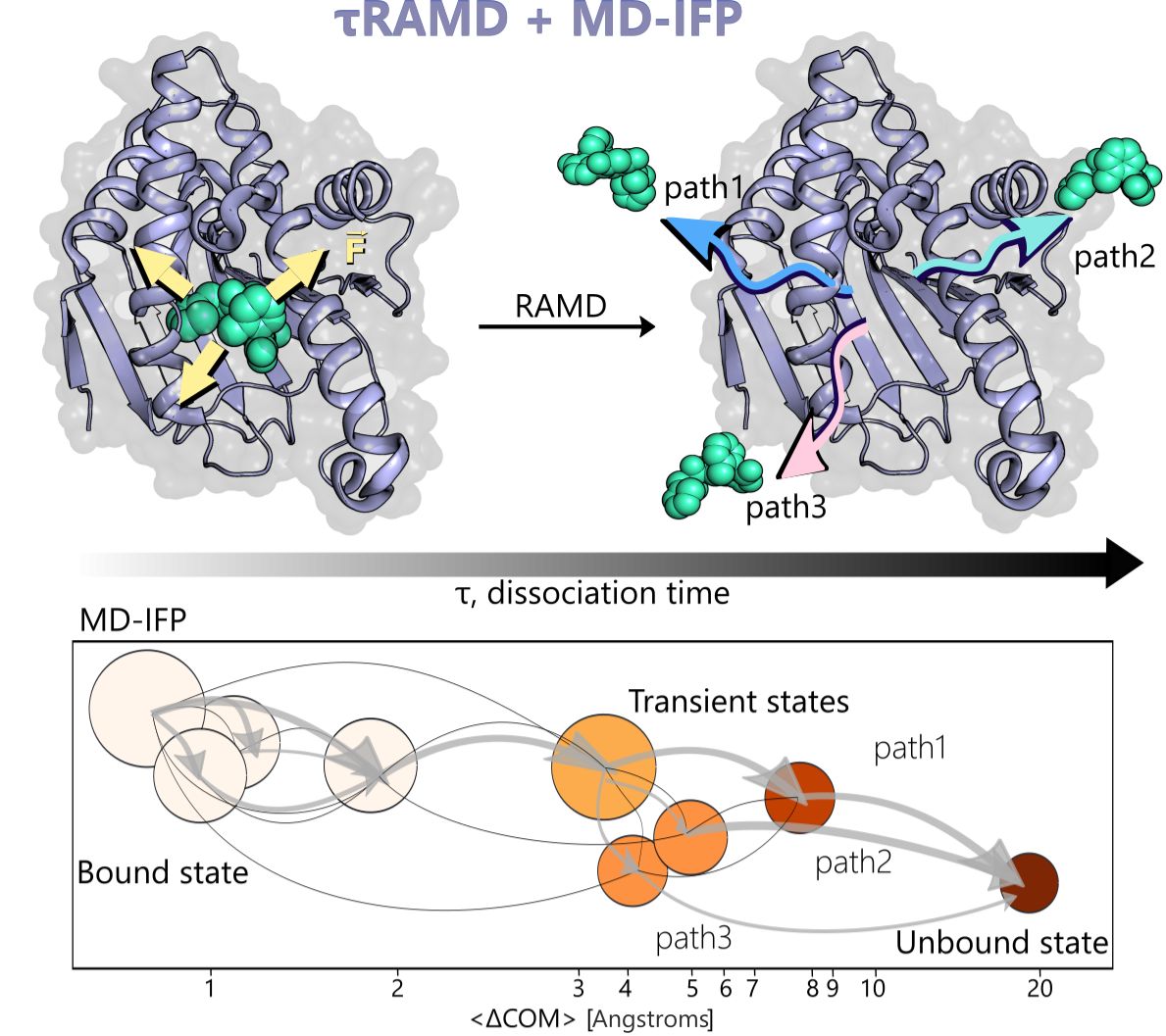 τRAMD