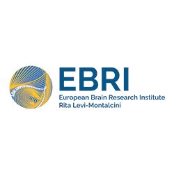 Logo of Fondazione EBRI Rita Levi-Montalcini