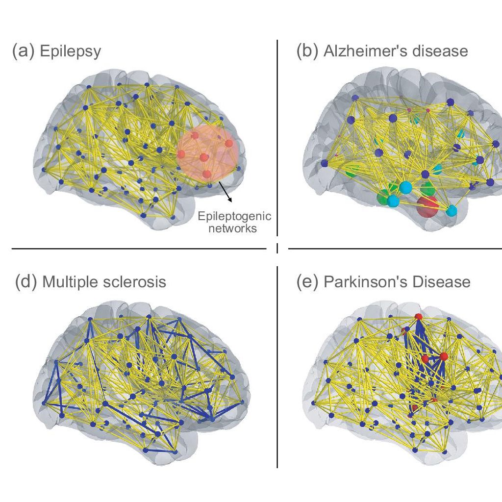 A Roadmap For Digital Neuroscience Ebrains A Roadmap For Digital Neuroscience Ebrains