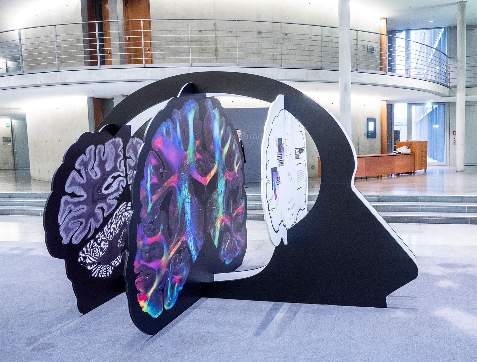 Brain Exhibition Image