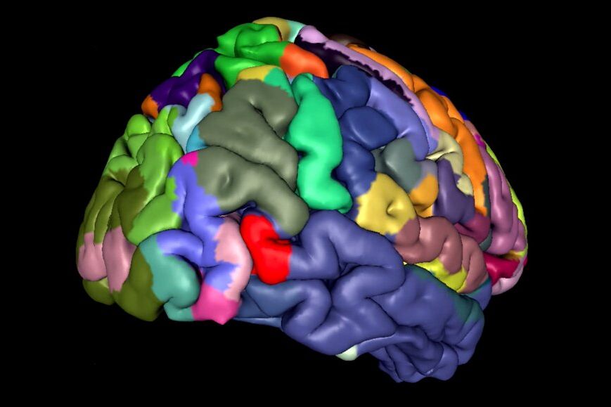 Julich Brain Atlas