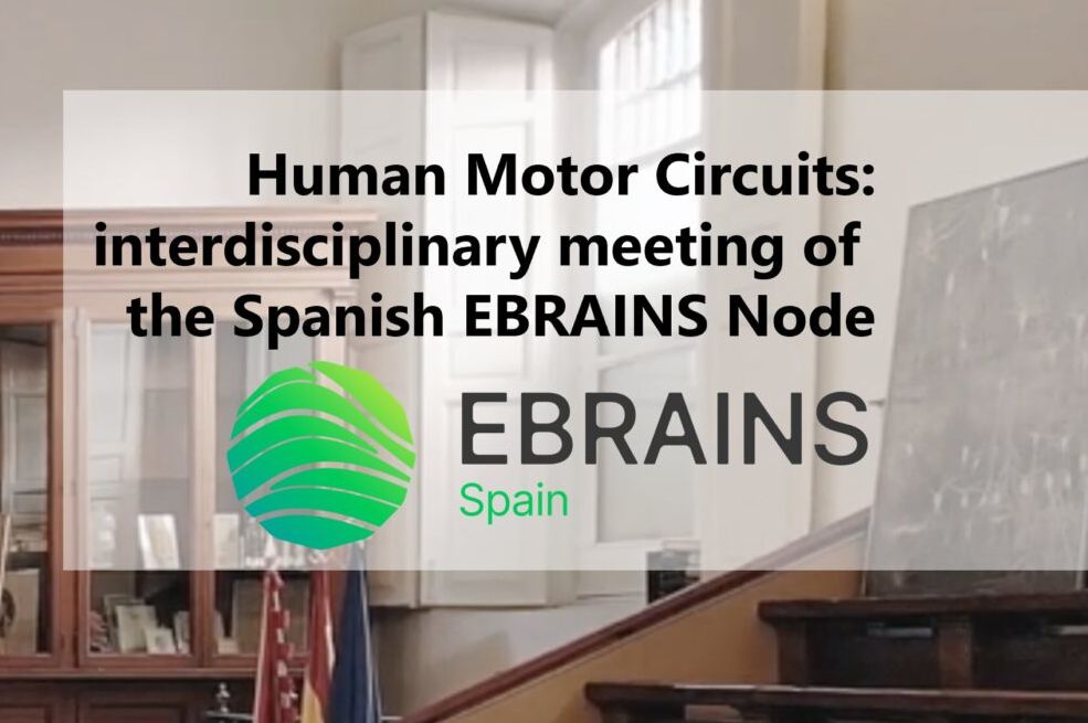 Human Motor Circuits Interdisciplinary Meeting Of The Spanish Ebrains