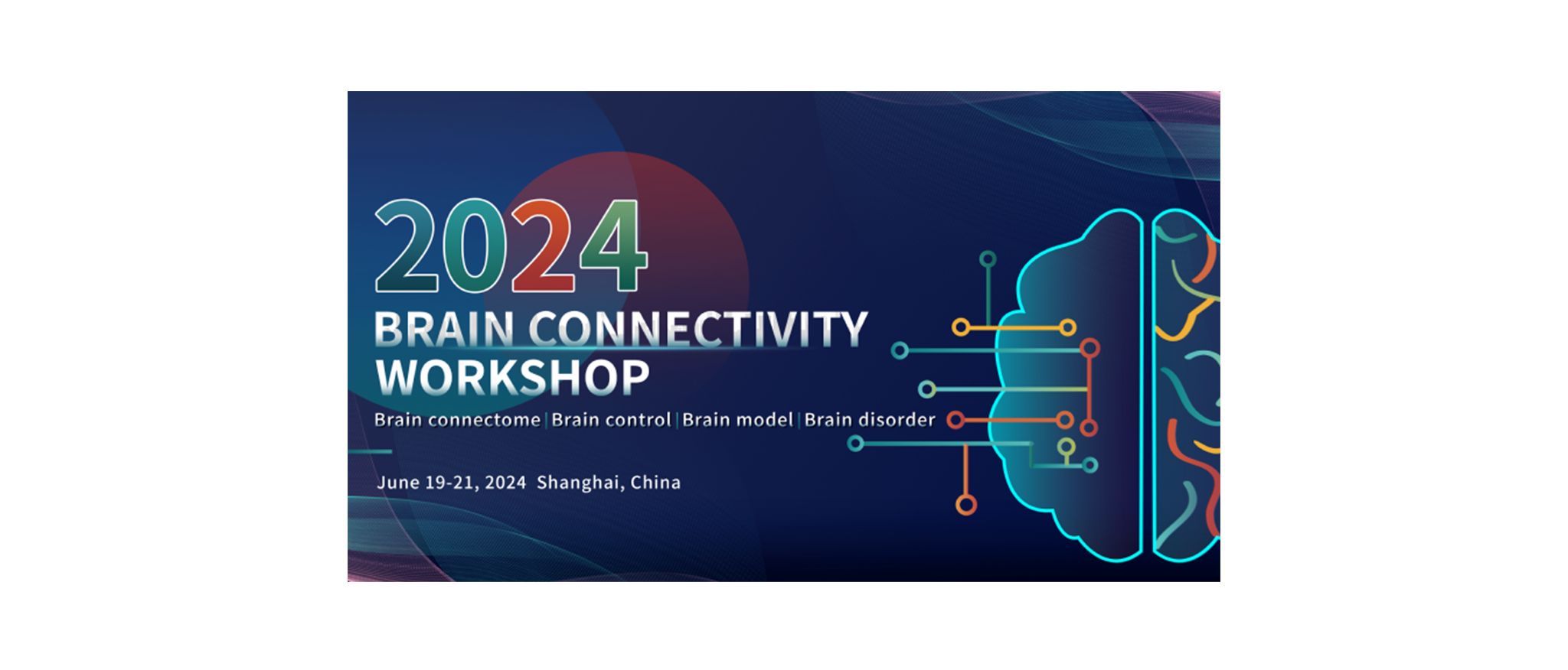 Brain Connectivity Workshop