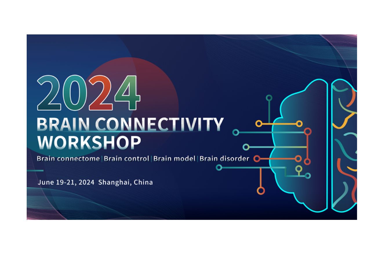 Brain Connectivity Workshop