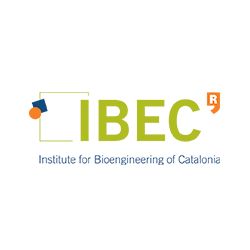 IBEC Logo