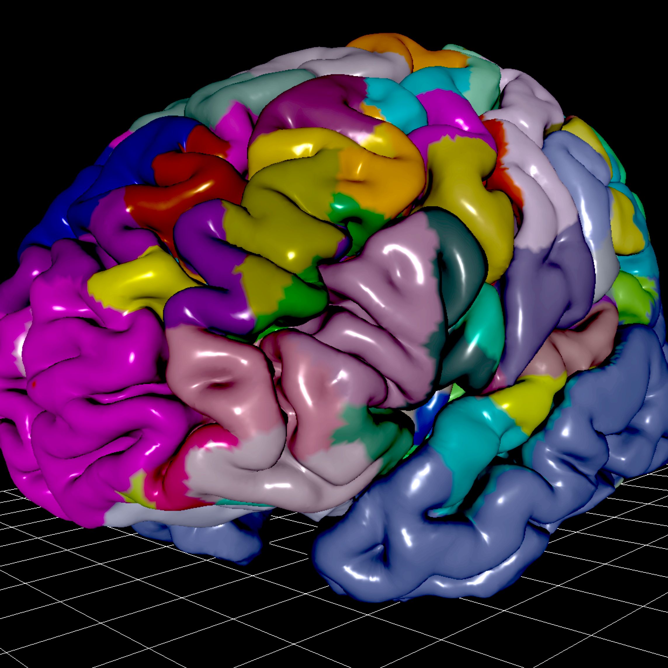 Image of the Julich Brain Atlas