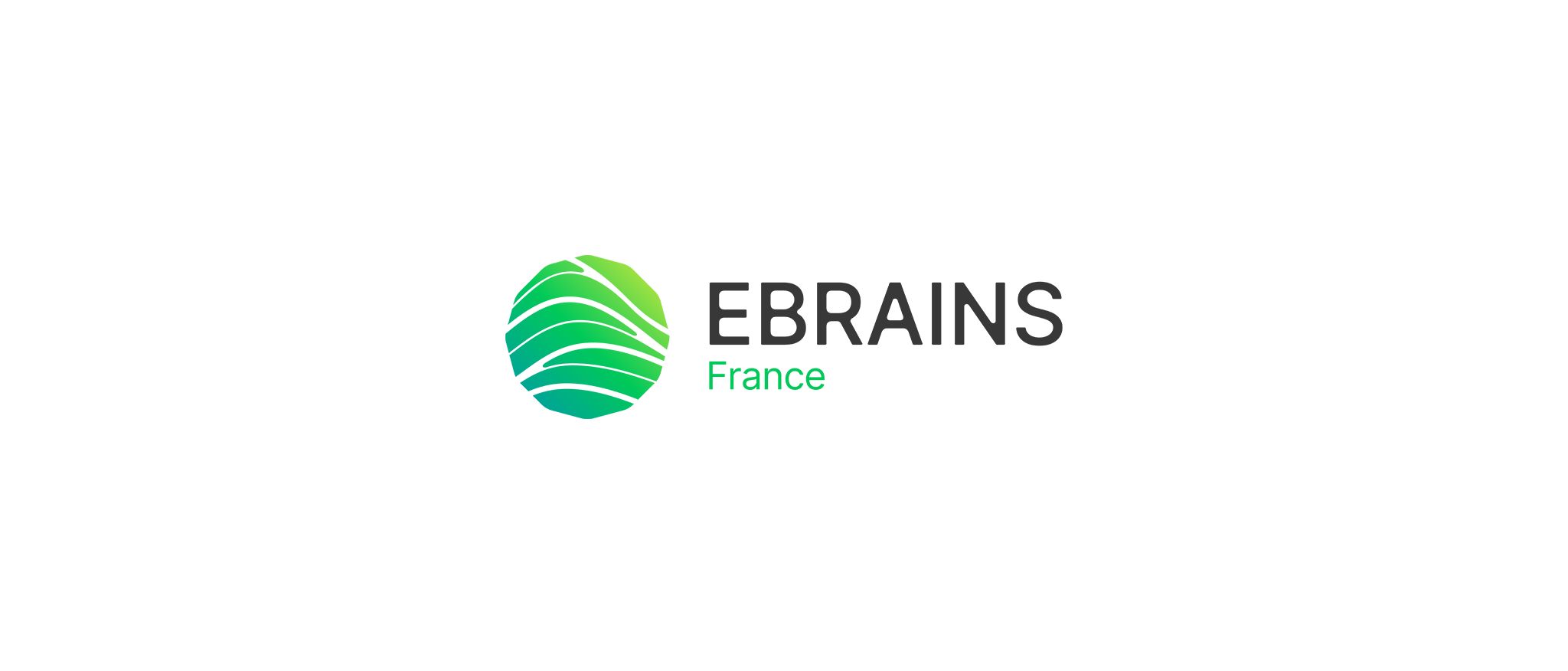 Ebrains France Workshop Banner