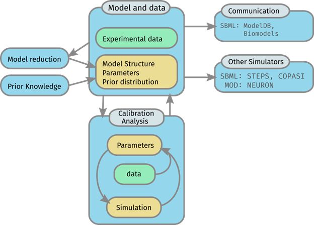 Subcellular Model Building And Calibration Toolset