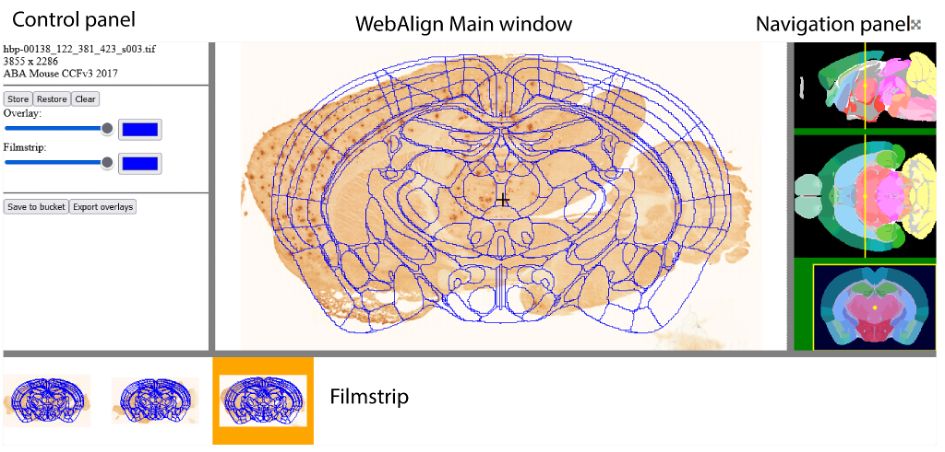 WebAlign