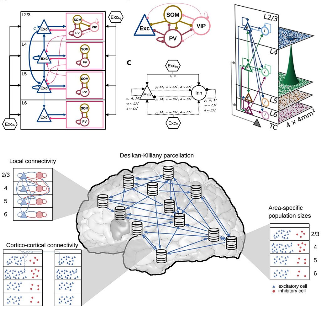 Spiking neural networks reach a new level - EBRAINS