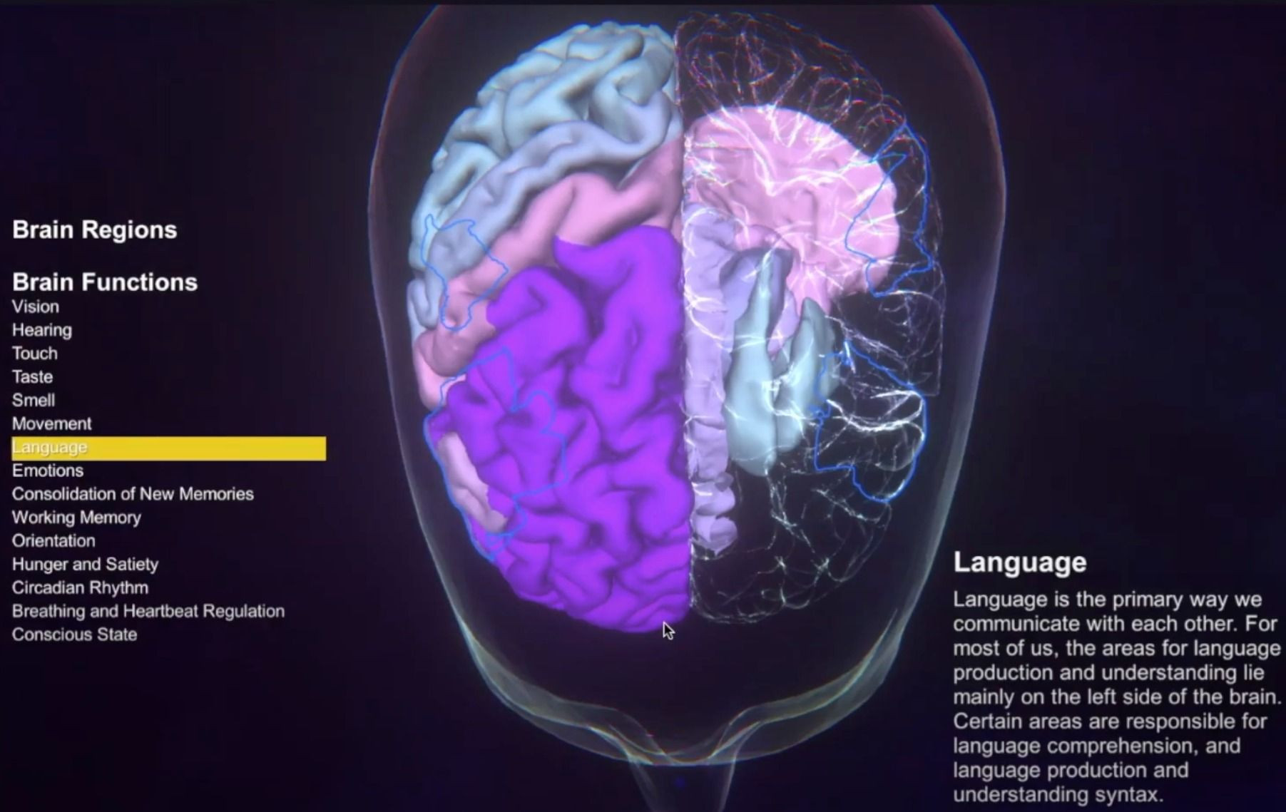 The Virtual Brain - Tools - EBRAINS