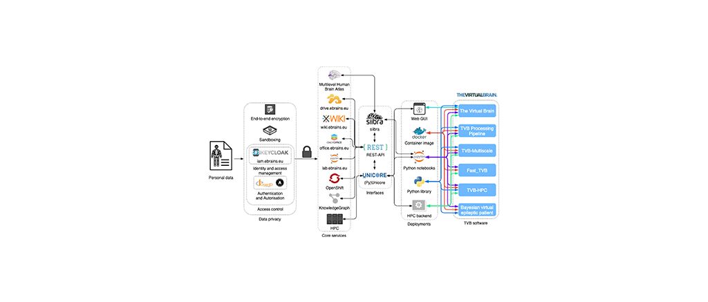 Brain simulation as a cloud service