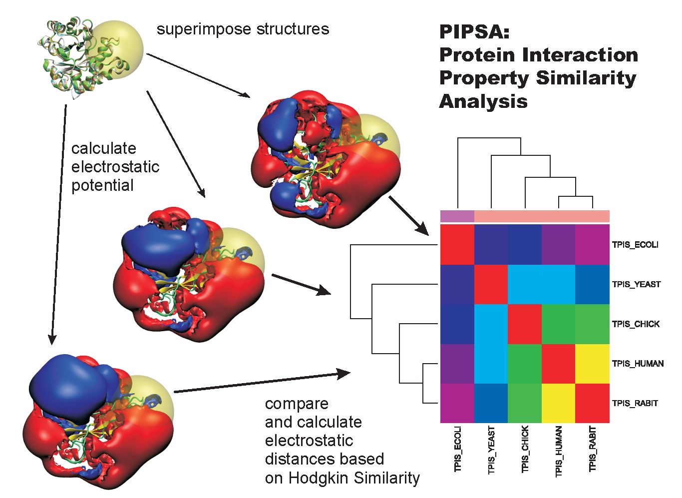 PIPSA